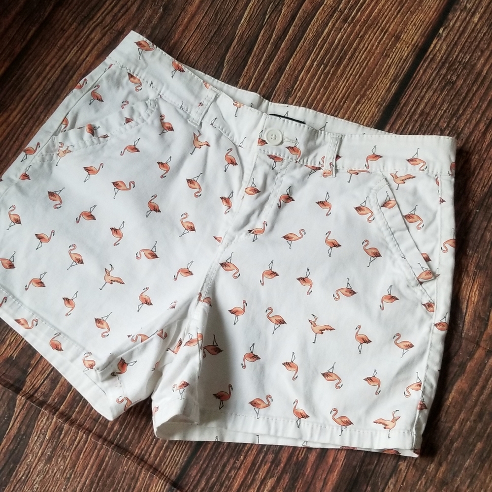 Supplies Novelty Pink Flamingo Birds Cotton Stretch Shorts